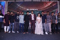 Bhaje Vaayu Vegam Pre Release Event Photos
